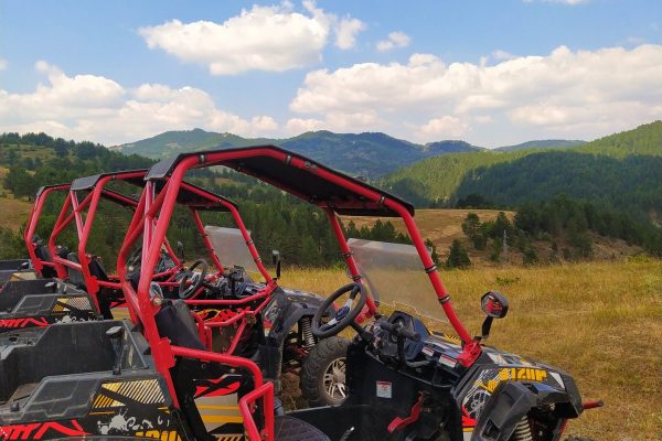 Photo by Blossom Aliona httpswww.pexels.comphotoutv-vehicles-in-row-on-field-17106318
